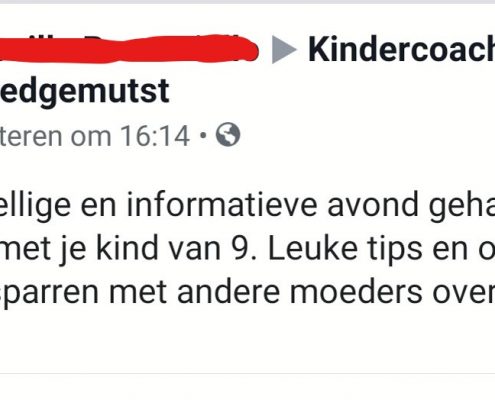 recensie ik ben 9 workshop